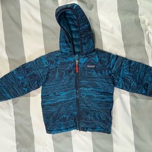 Patagonia Reversible Down Sweater Hoodie